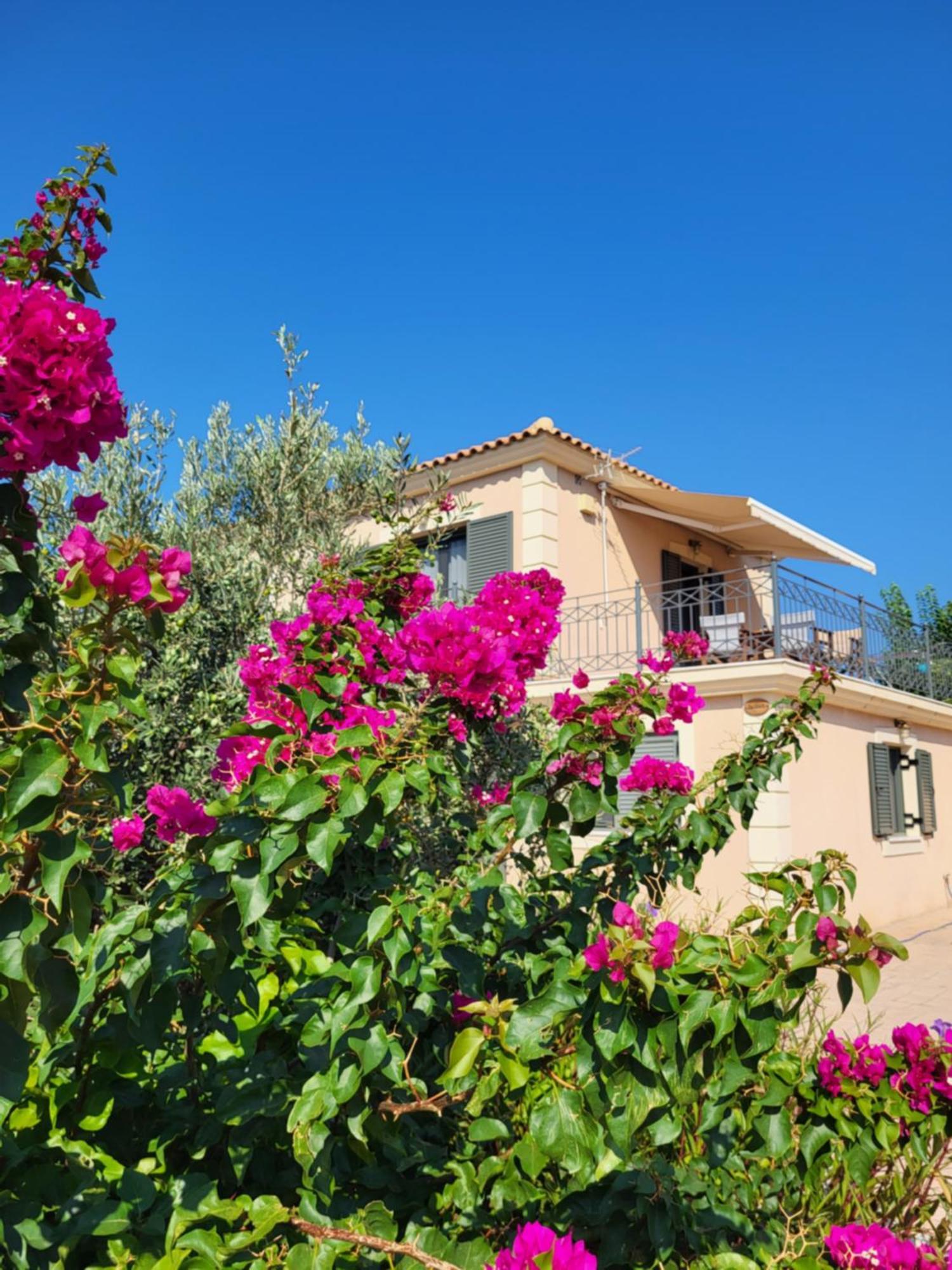 Korallis Villas Karavados Bagian luar foto