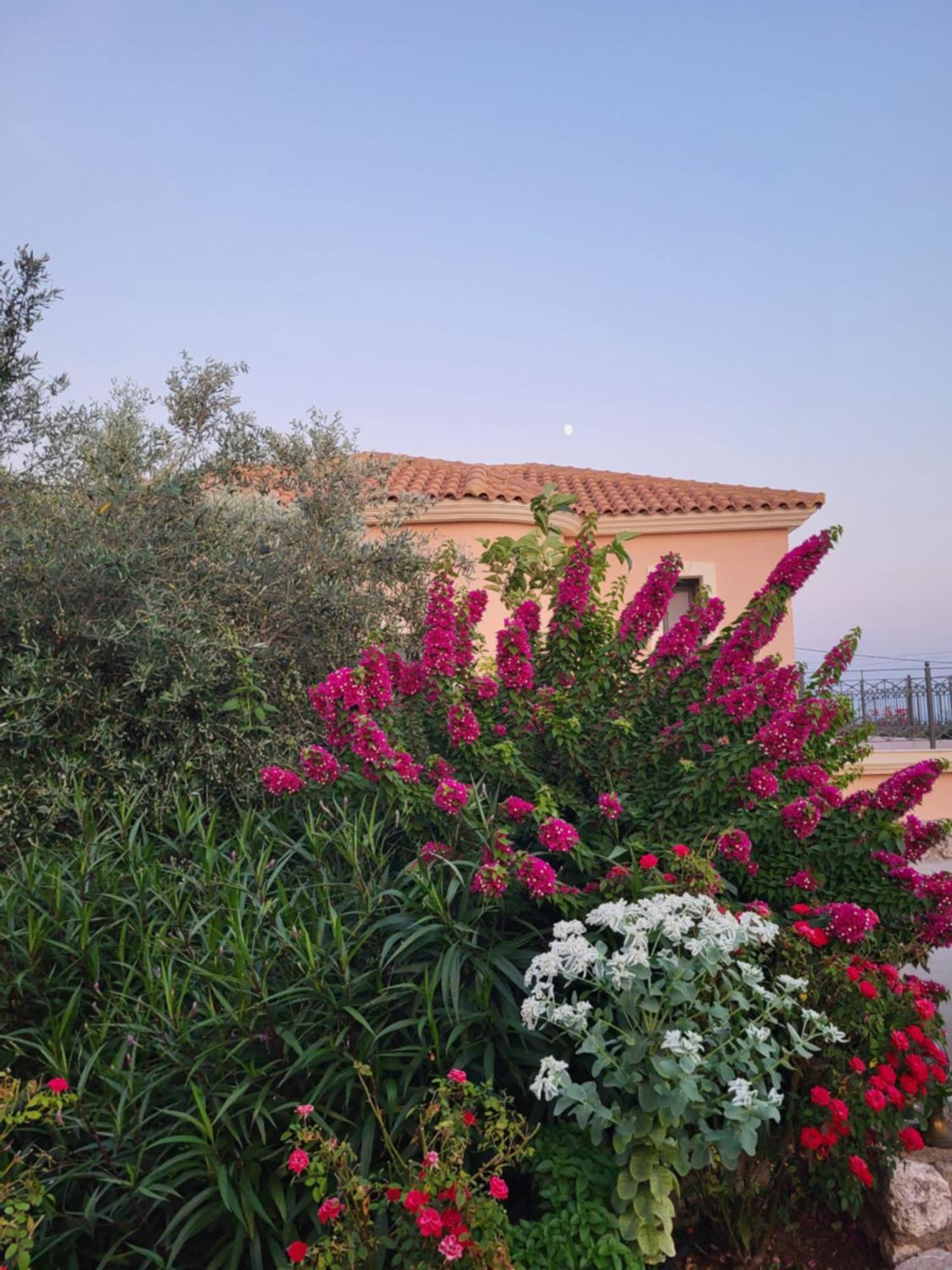 Korallis Villas Karavados Bagian luar foto