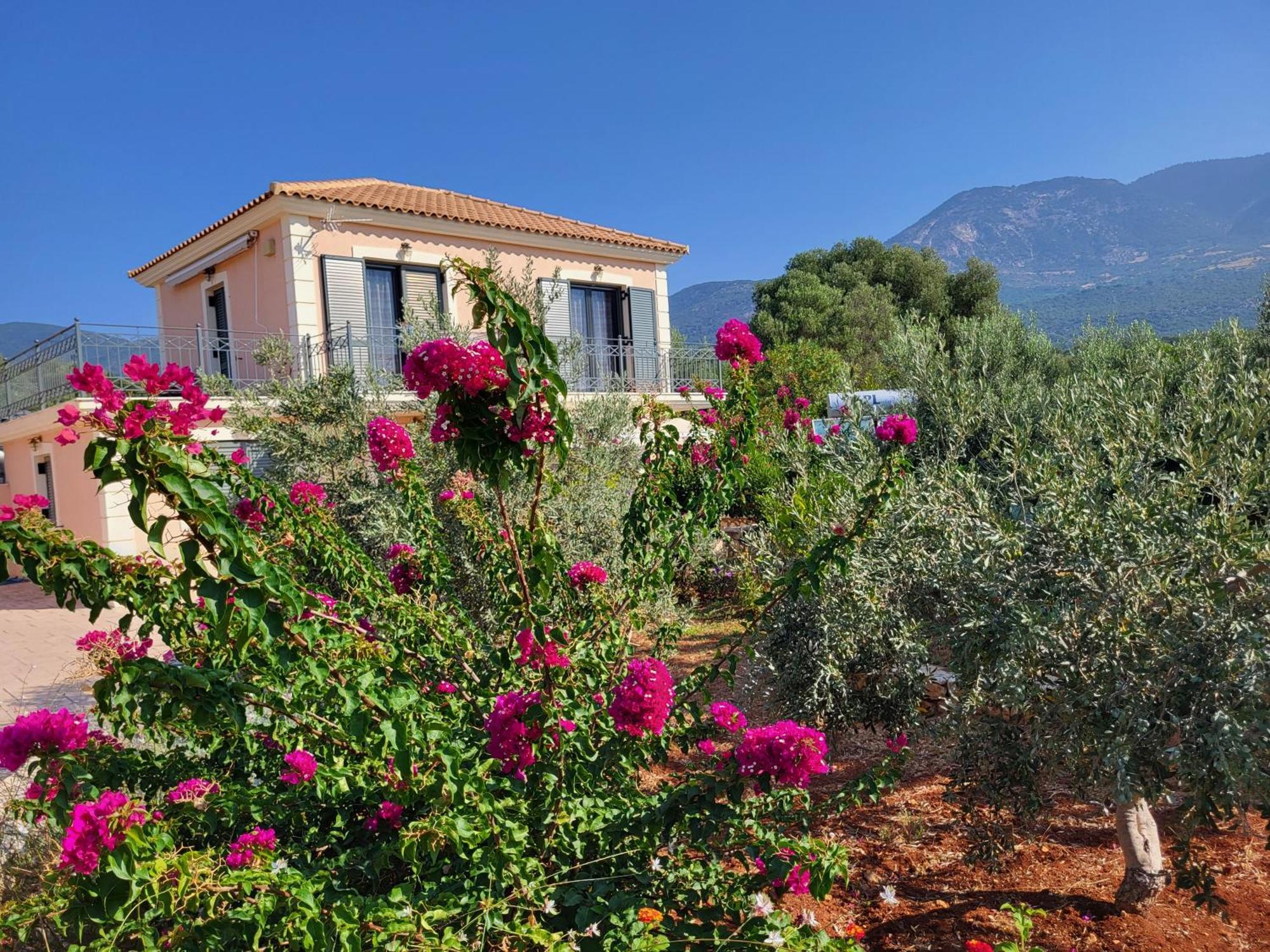 Korallis Villas Karavados Bagian luar foto