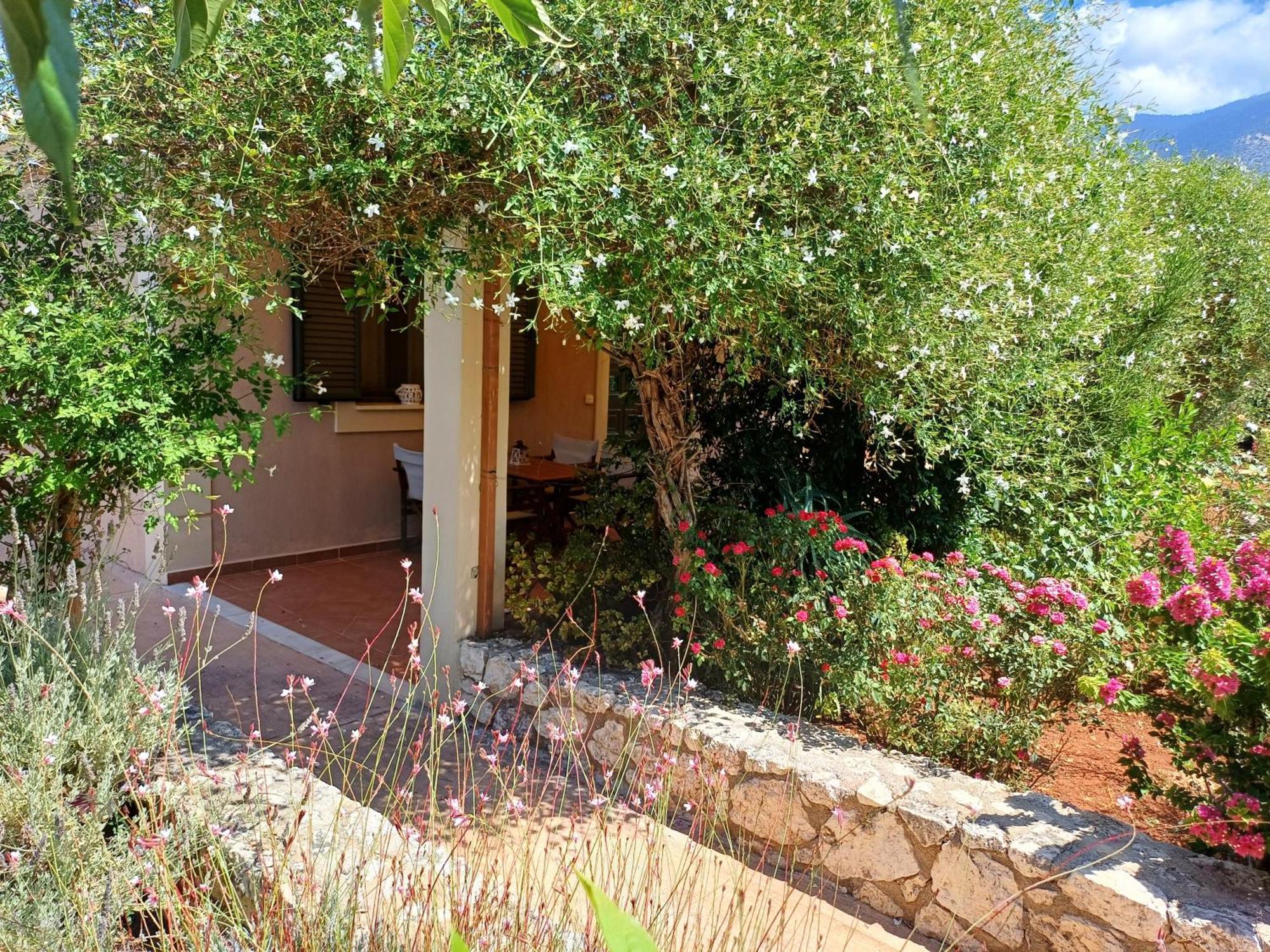 Korallis Villas Karavados Bagian luar foto