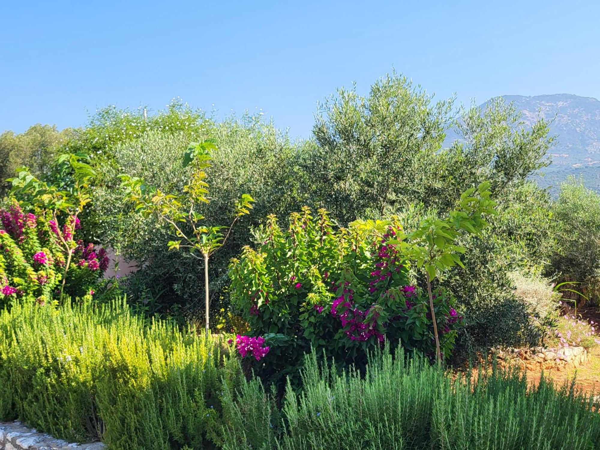Korallis Villas Karavados Bagian luar foto