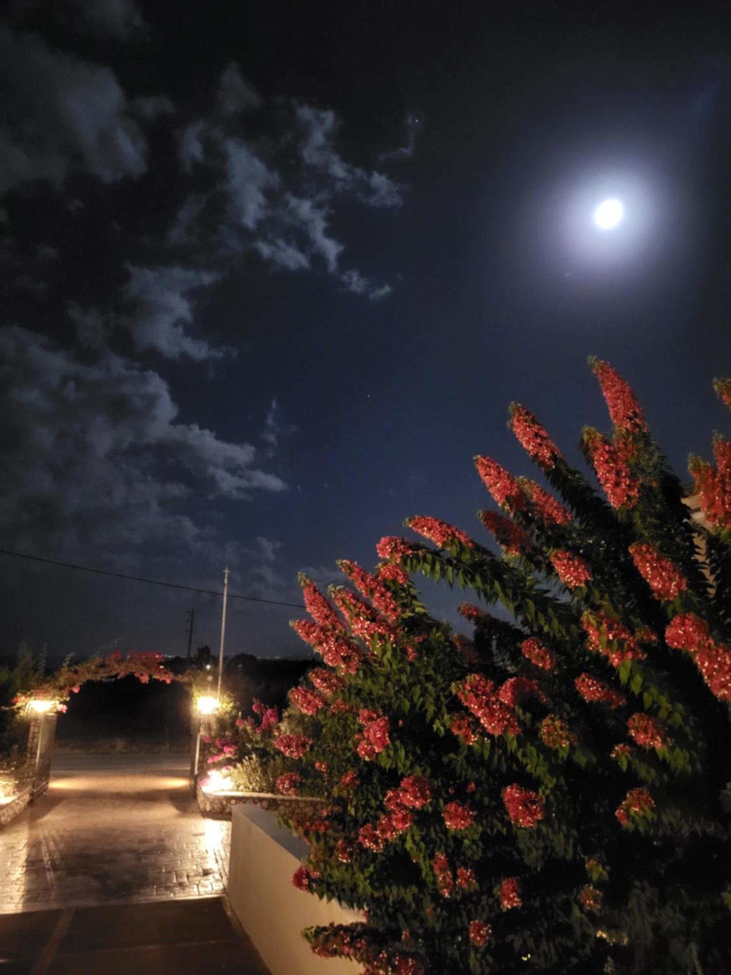 Korallis Villas Karavados Bagian luar foto