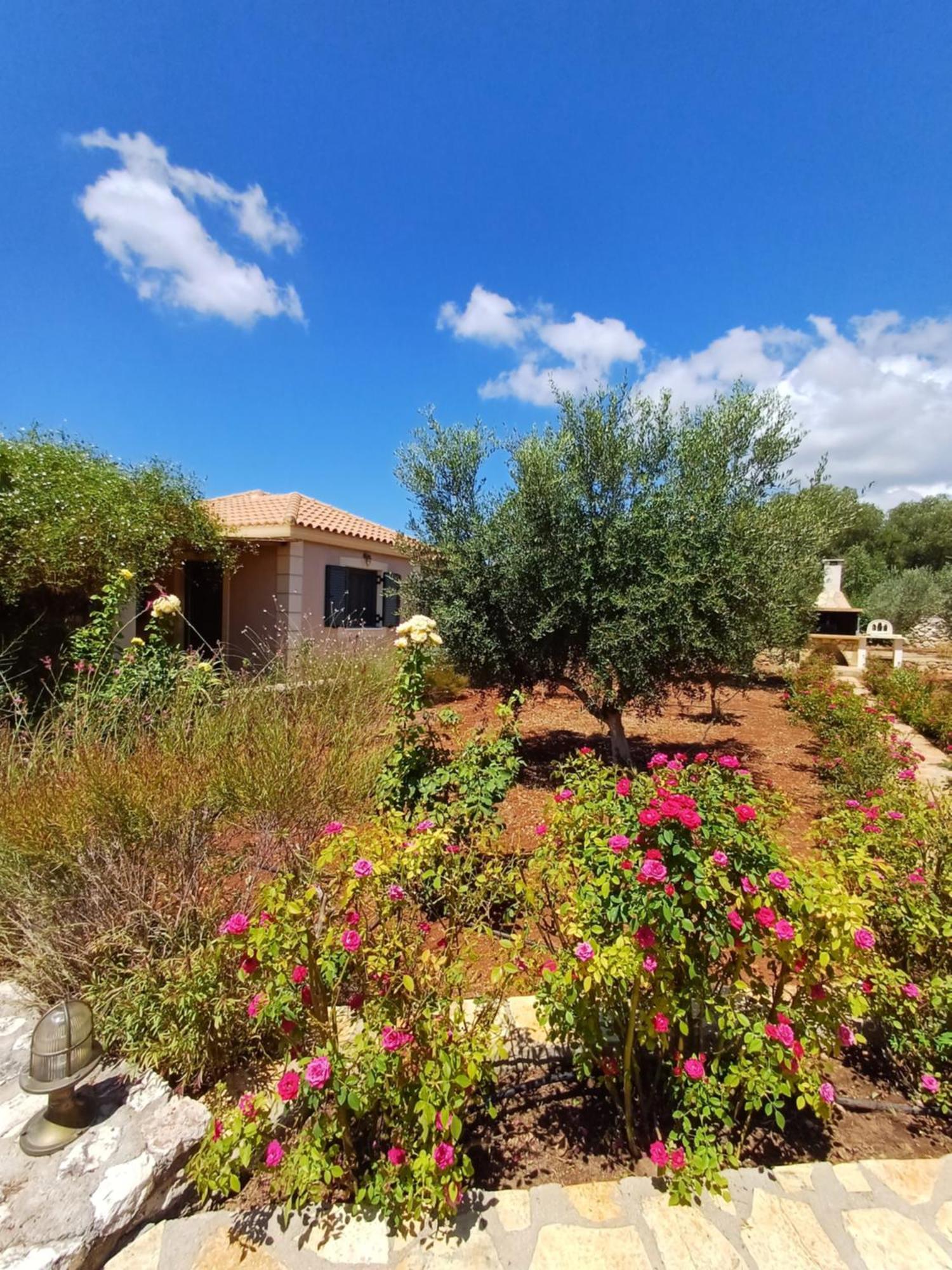 Korallis Villas Karavados Bagian luar foto