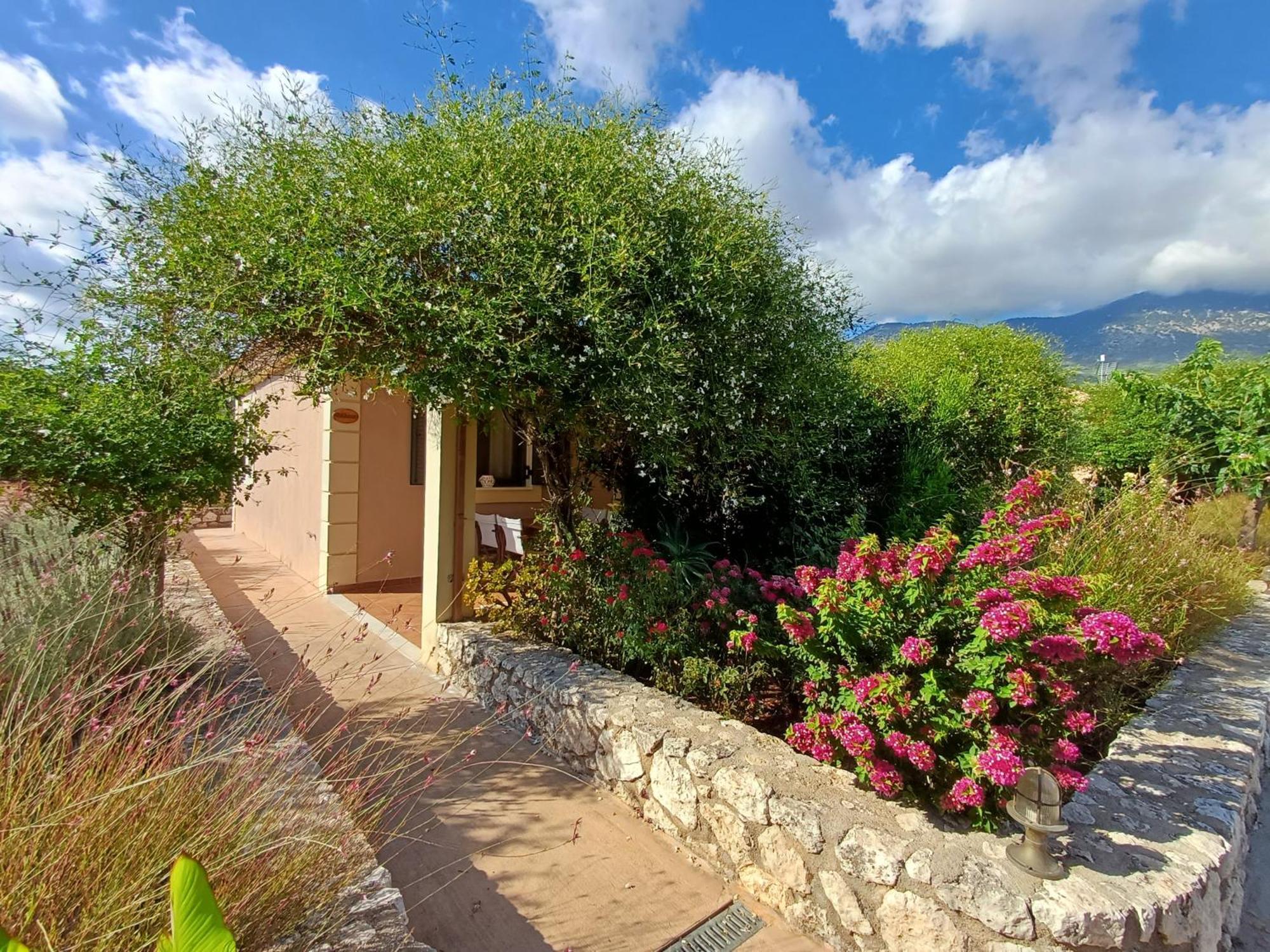 Korallis Villas Karavados Bagian luar foto