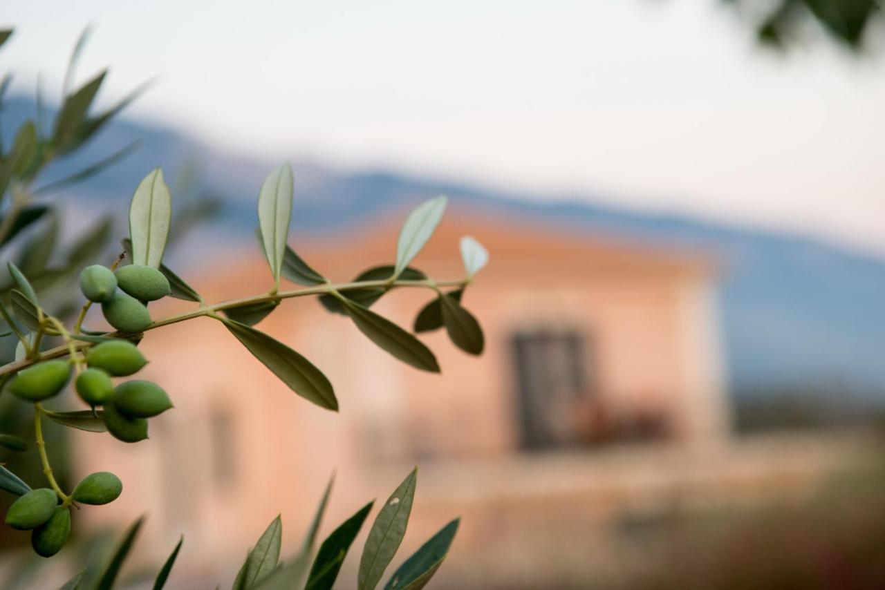 Korallis Villas Karavados Bagian luar foto